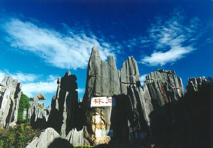 云南专题旅游