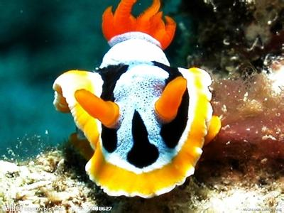 海洋公园专题旅游